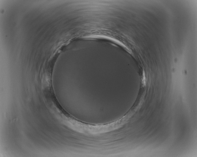 X0000080730039200612151235