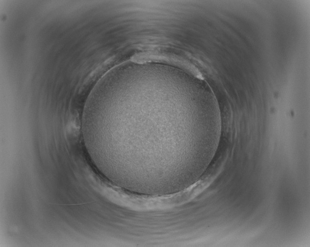 X0000080730040200612151235