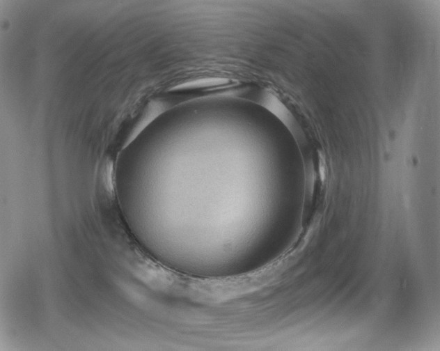 X0000080730041200612151235