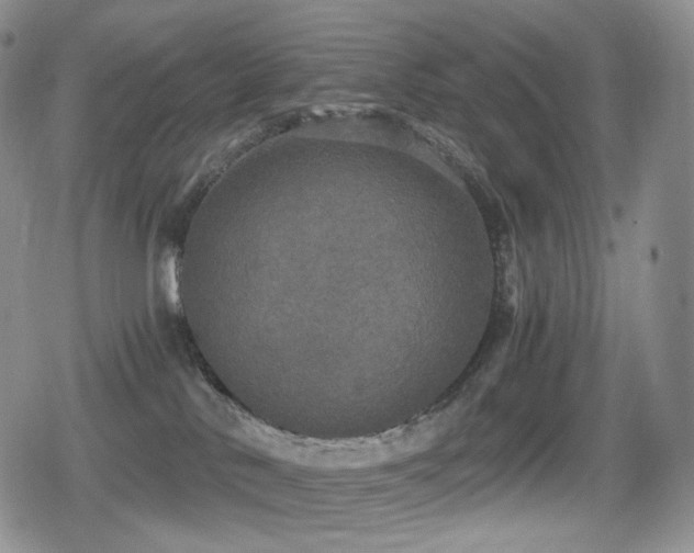 X0000080730042200612151235