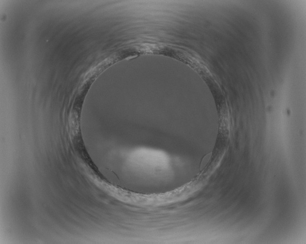 X0000080730043200612151235