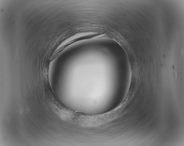 X0000080730045200612151235