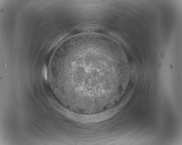 X0000080730046200612151235