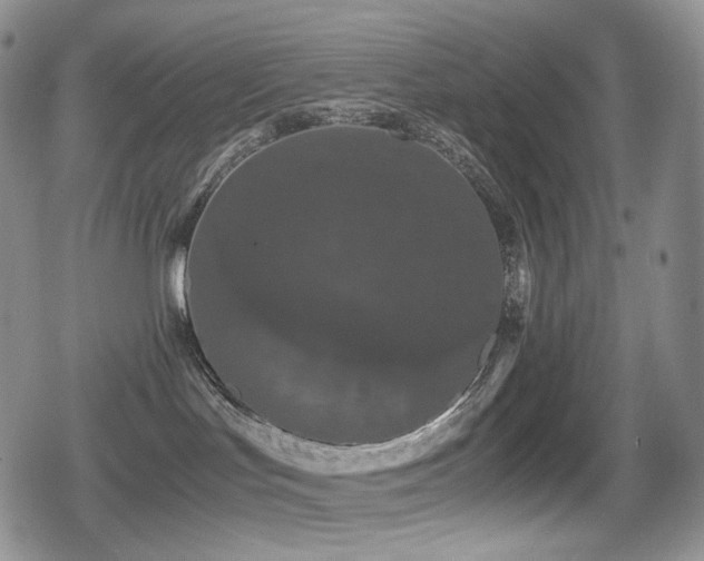 X0000080730047200612151235