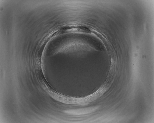 X0000080730048200612151235