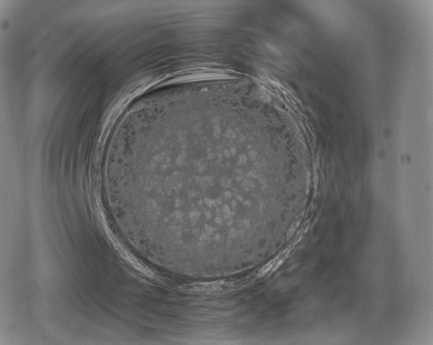 X0000080730049200612151234