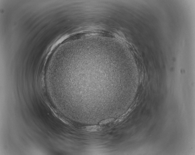 X0000080730050200612151234