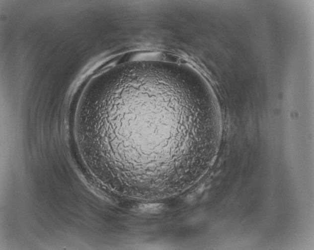 X0000080730055200612151234