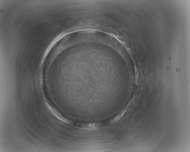 X0000080730056200612151234