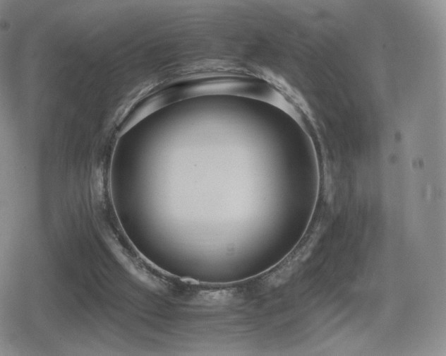 X0000080730057200612151234