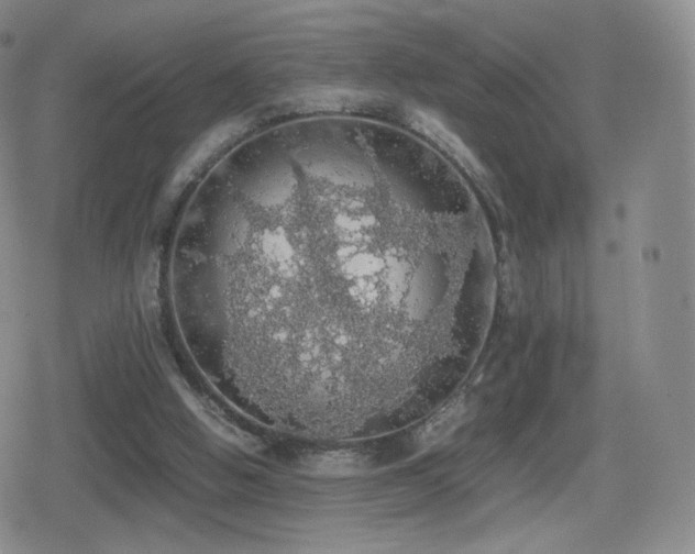 X0000080730058200612151234