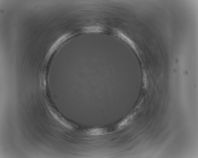 X0000080730059200612151234