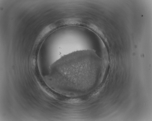 X0000080730063200612151234