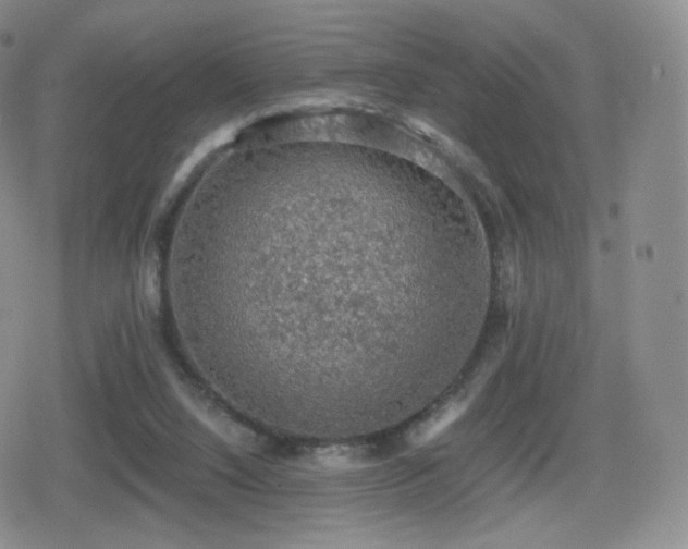 X0000080730064200612151234