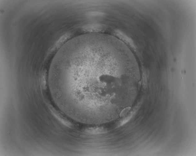 X0000080730065200612151234