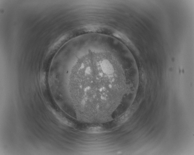 X0000080730066200612151235