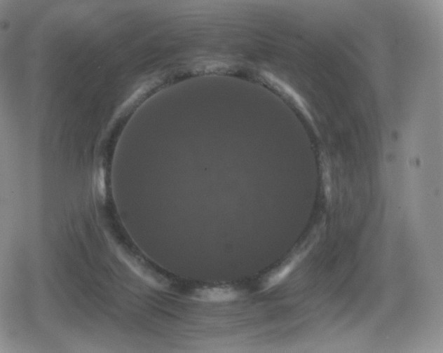 X0000080730067200612151235