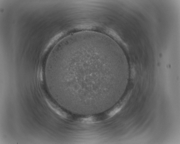 X0000080730068200612151235