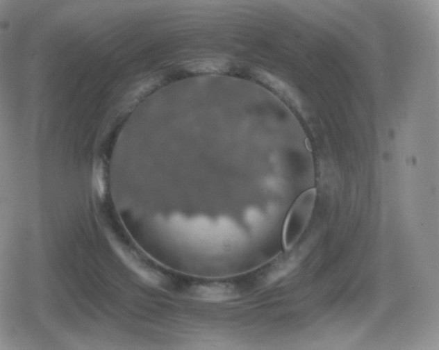 X0000080730069200612151235