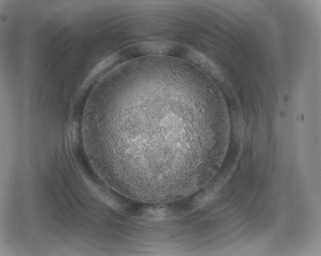 X0000080730071200612151235