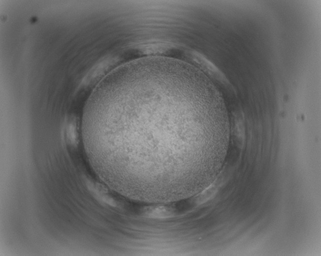 X0000080730074200612151235