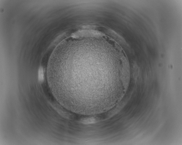 X0000080730075200612151235