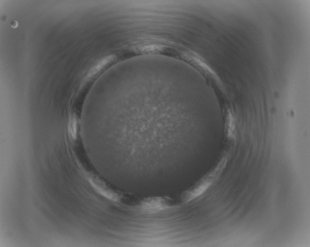 X0000080730076200612151235