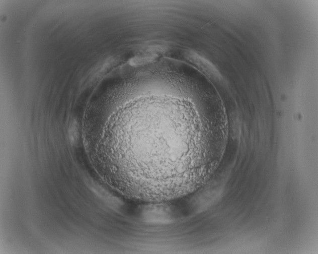 X0000080730077200612151235