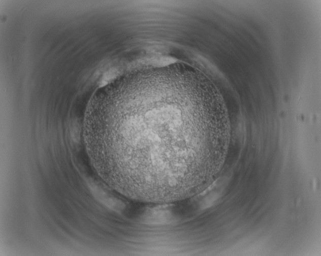 X0000080730078200612151235