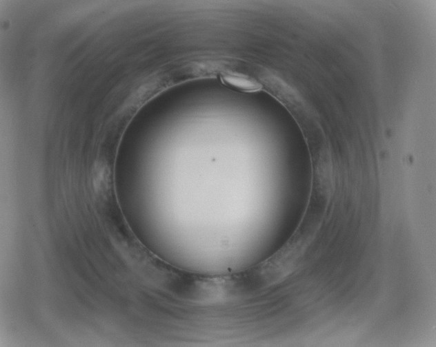 X0000080730079200612151235