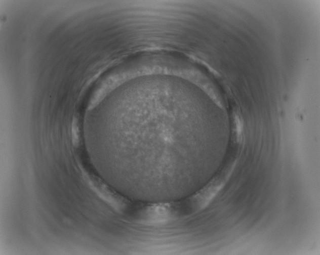 X0000080730080200612151235