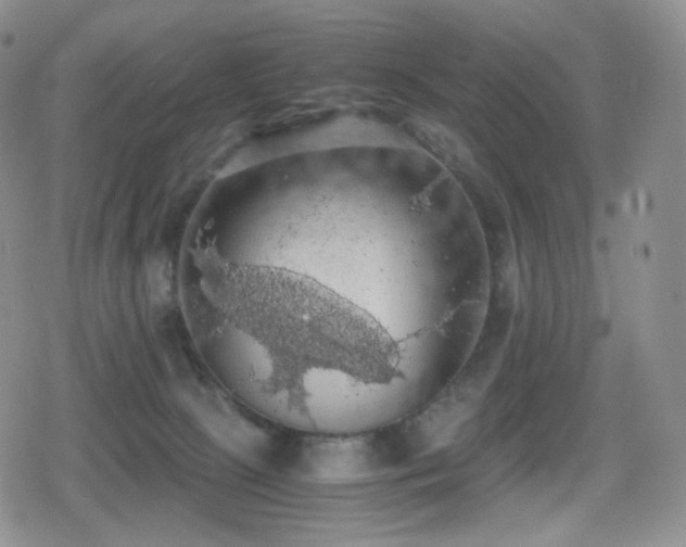 X0000080730081200612151235