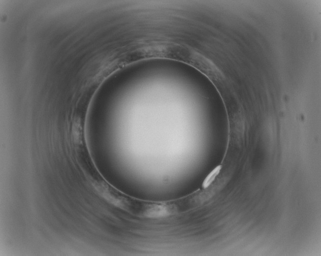 X0000080730083200612151235