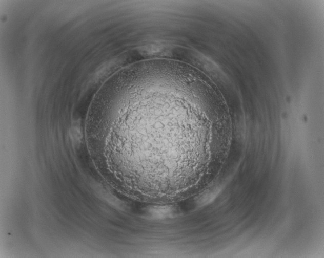 X0000080730085200612151235