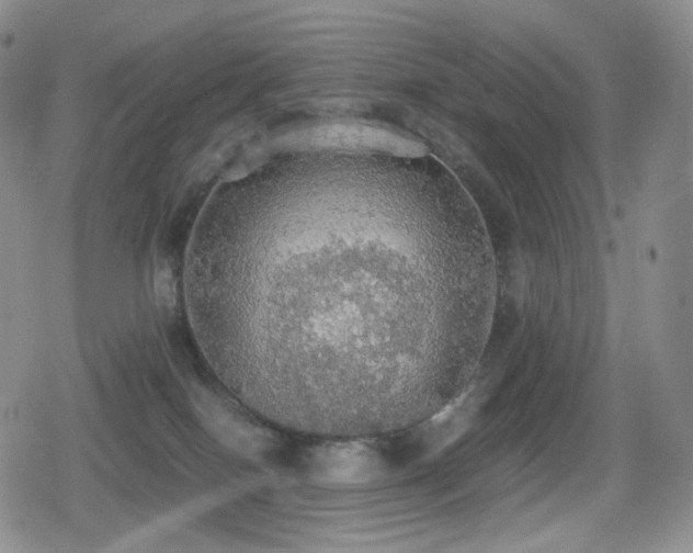 X0000080730086200612151235