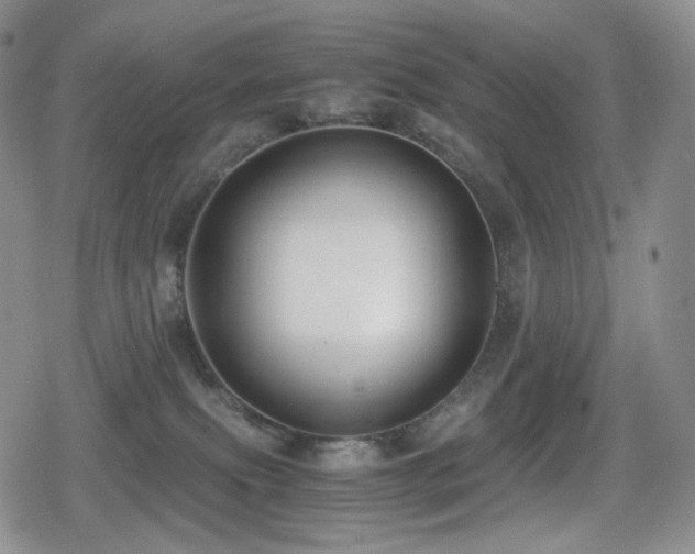 X0000080730087200612151235