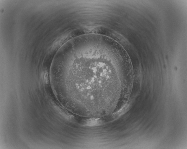 X0000080730090200612151235