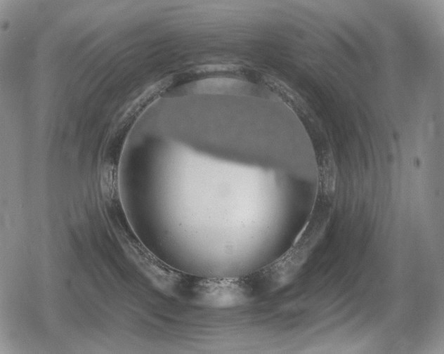 X0000080730093200612151235