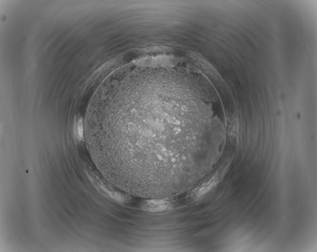 X0000080730095200612151235