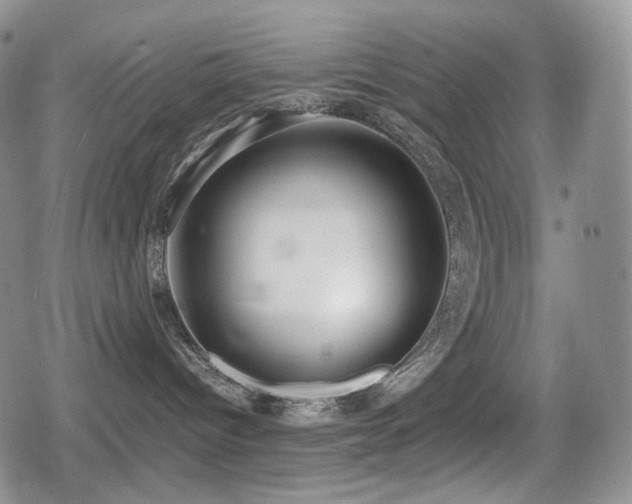 X0000080730096200612151235