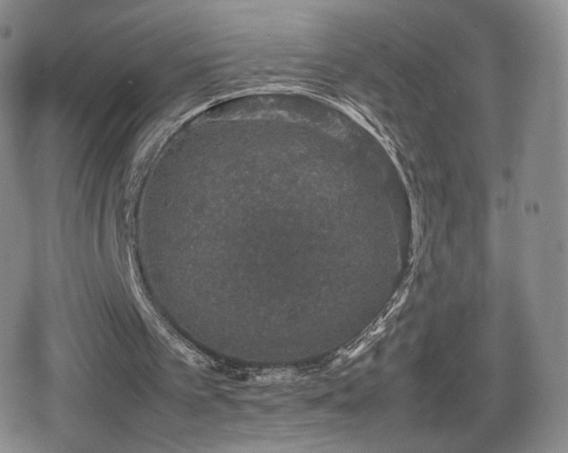 X0000080730097200612151234