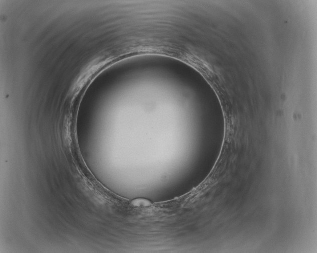 X0000080730098200612151234