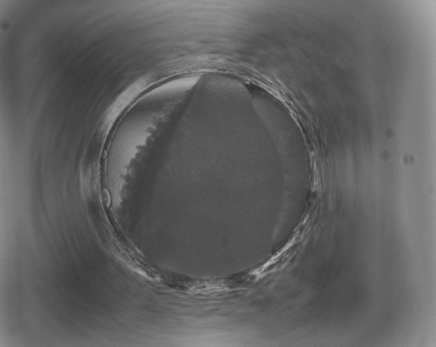 X0000080730099200612151234