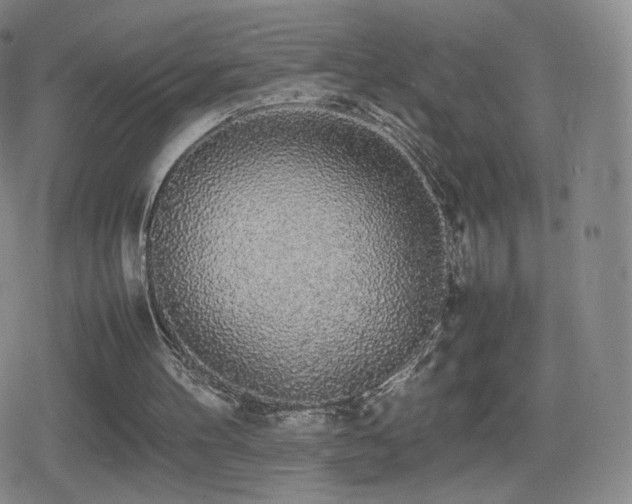 X0000080730100200612151234