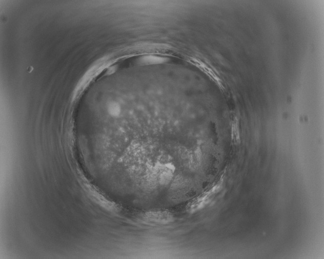 X0000080730101200612151234