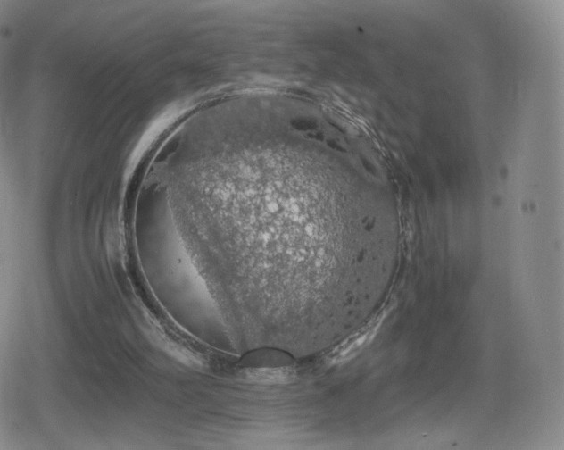 X0000080730102200612151234