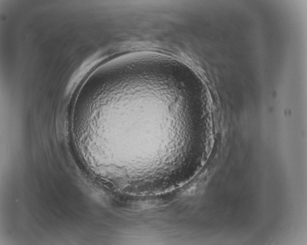 X0000080730103200612151234