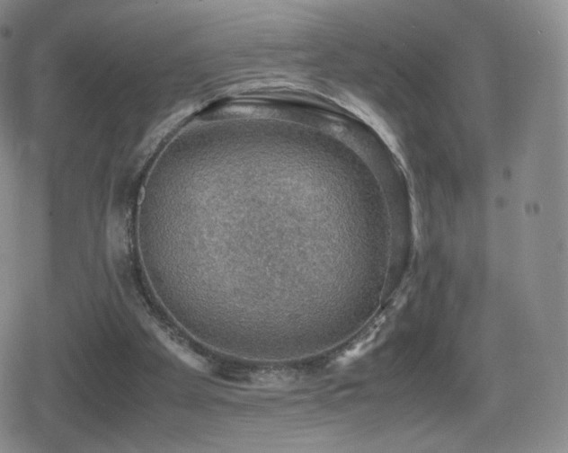 X0000080730105200612151234