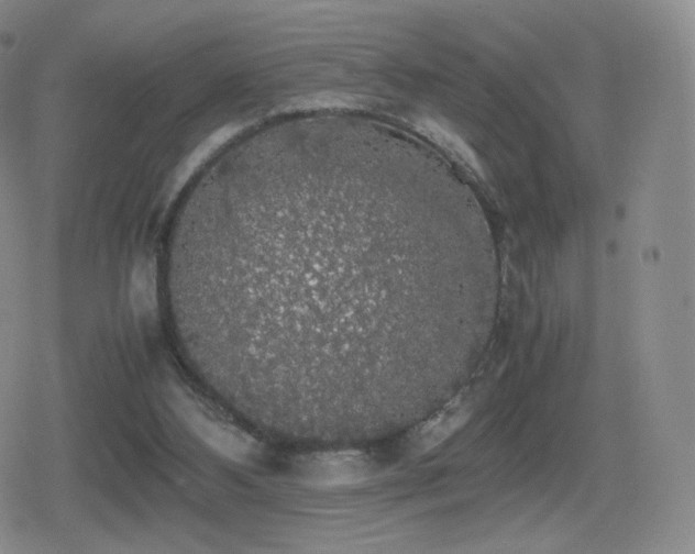 X0000080730108200612151234