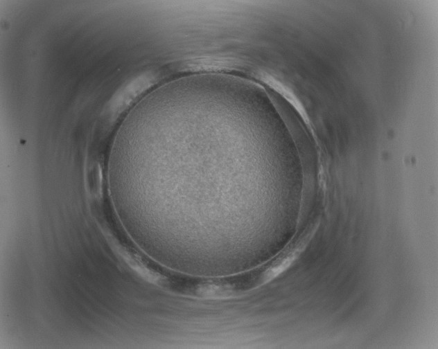 X0000080730109200612151234